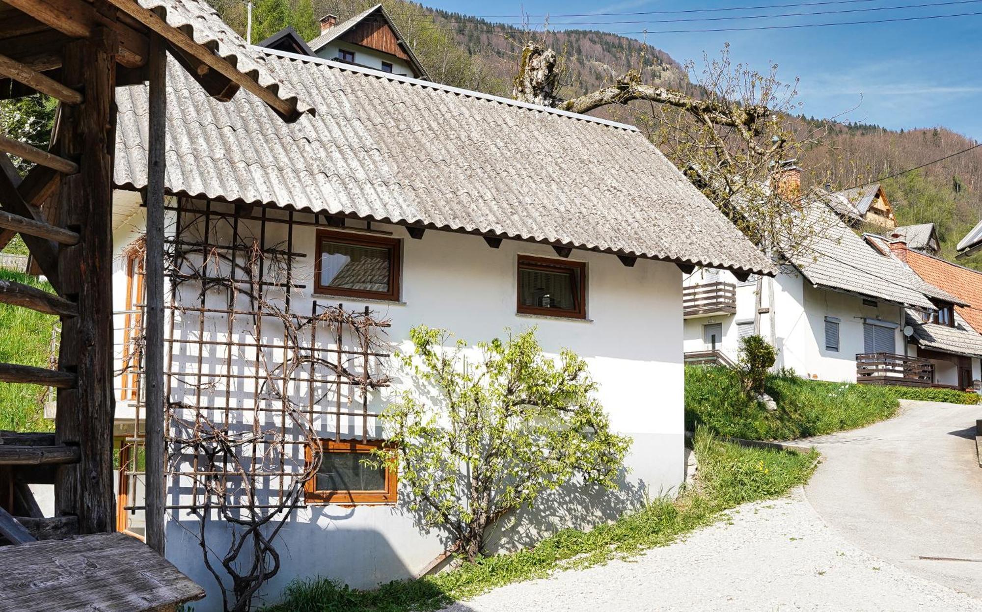 Apartments Pr' Pavleto 보히니 외부 사진